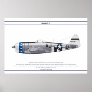PÓSTER P-47D 356FS USAAF