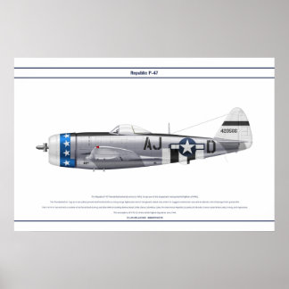 PÓSTER P-47D 356FS USAAF