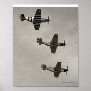 Póster P-51 B e mustang de P51D