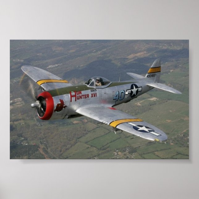 Poster p-51 Mustang (Frente)