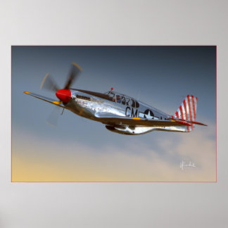 Póster P-51C Mustang