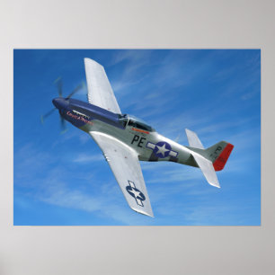 Póster P-51D "Cripes A' Mighty"