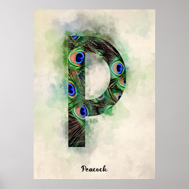 Poster P é para Peacock (Frente)