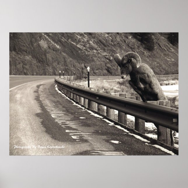 Póster Paciência (Frente)