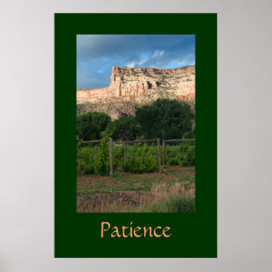 Poster Paciência