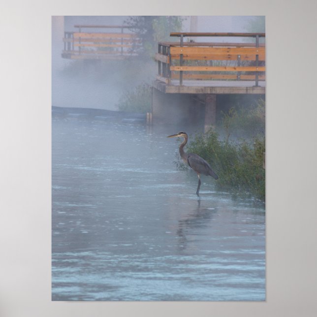 Póster Pacientemente Esperando (Frente)