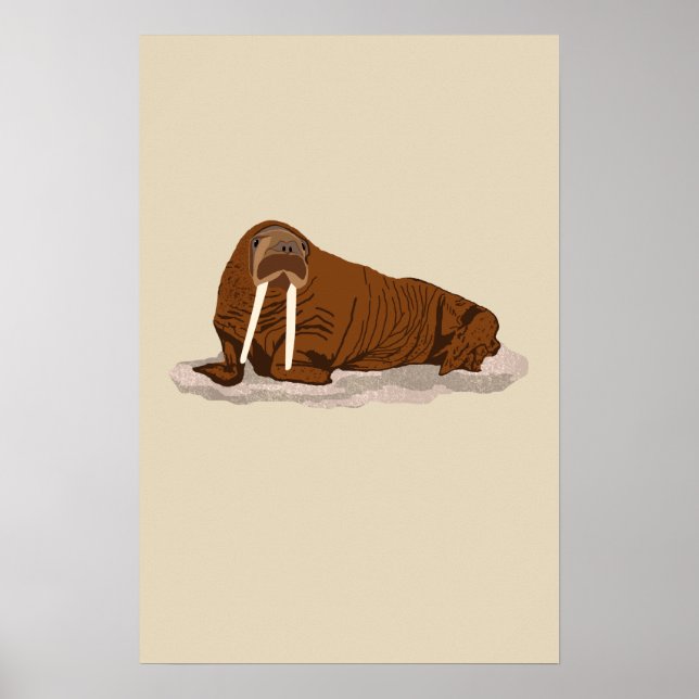 Poster Pacific Walrus (Frente)