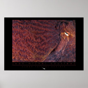 Poster pacífico gigante do polvo