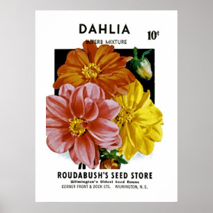 Póster Pacote da semente do vintage da dália