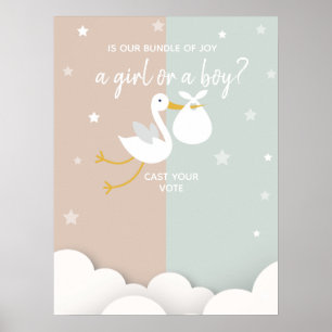 Poster Pacote de Joy Stork - Voto Revelado
