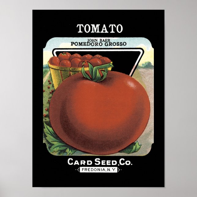 Póster Pacote de Semente de Tomato Vintage (Frente)