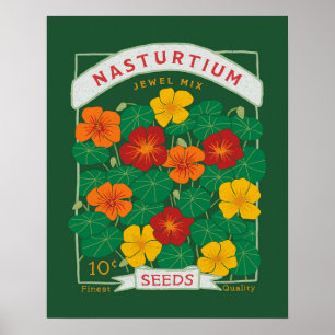 Poster Pacote de Semente do Flor Nasturtium (Verde)
