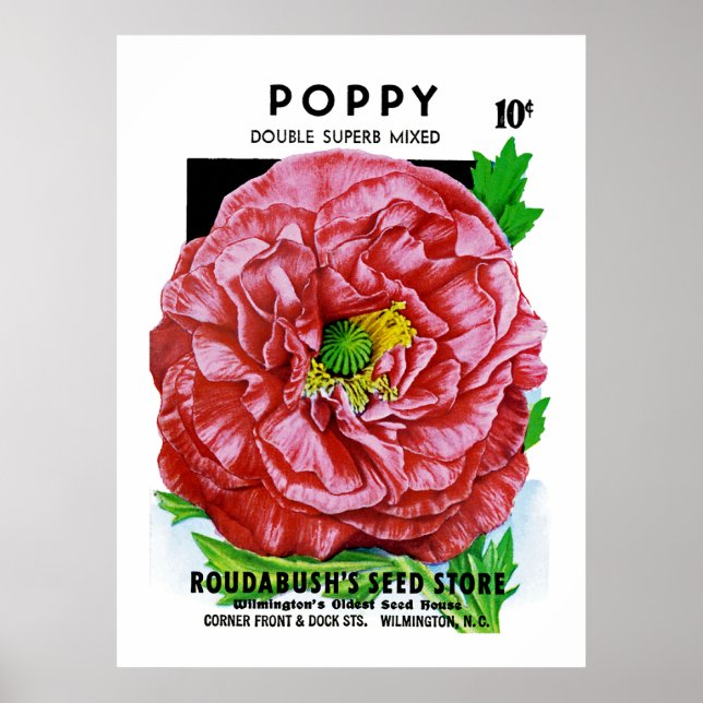 Póster Pacote de Semente Vintage Poppy (Frente)