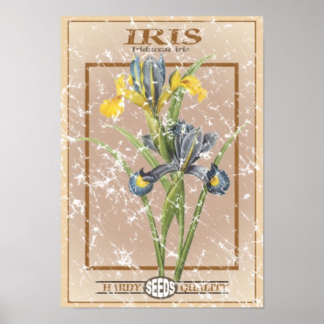 Poster Pacote semente Iris - em aflição (Frente)