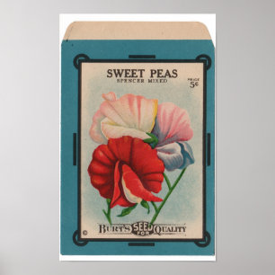 Poster Pacotes da semente do vintage