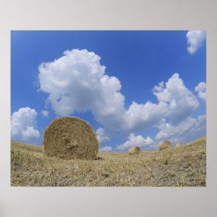 Poster Pacotes de feno no campo, Pienza, d'Orcia de Val,