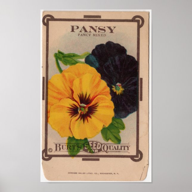 Póster Pacotes de Semente Vintage (Frente)