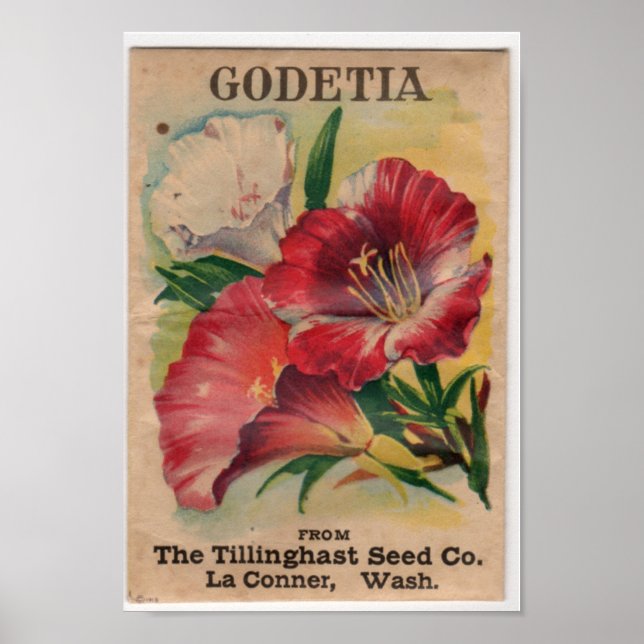 Póster Pacotes de Semente Vintage (Frente)