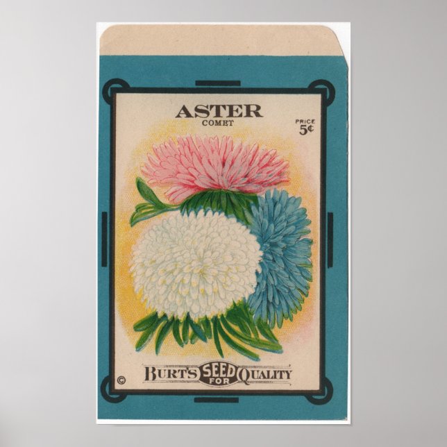 Poster Pacotes de Semente Vintage (Frente)