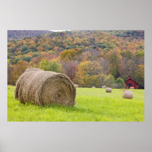 Poster Pacotes e folhagem de outono de feno na fazenda,