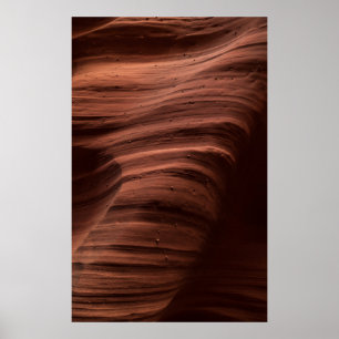 Poster Padrão