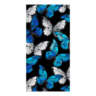Póster Padrão contínuo escuro com borboletas azuis Morpho