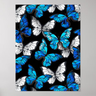 Poster Padrão contínuo escuro com borboletas azuis Morpho