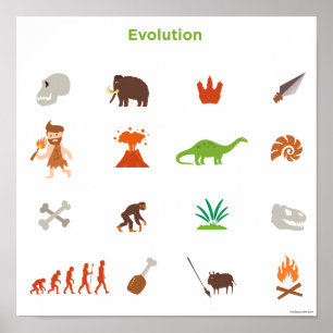Poster Padrão de evolução