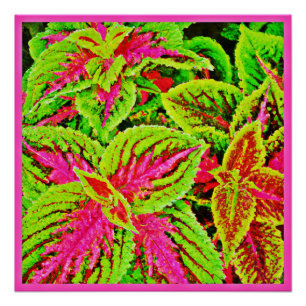 Póster Padrão de Folhas de Natureza Vibrante