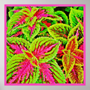 Poster Padrão de Folhas de Natureza Vibrante
