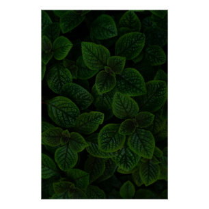 Póster Padrão de Folhas Texturizadas Verde Esmeralda Escu