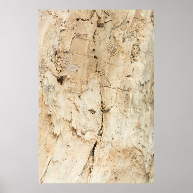 Poster Padrão de madeira (Frente)