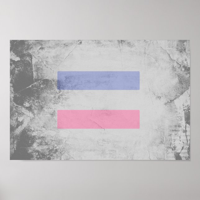POSTER PADRÃO DE ORGULHO ANDRÓGINO (Frente)