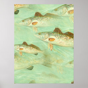 Poster Padrão De Peixe De Baixo  