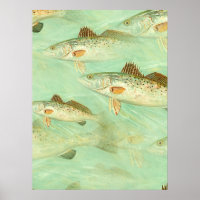 Padrão de Peixes de Bass