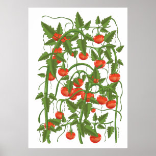 Poster Padrão de Tomates