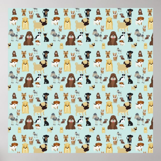 Poster padrão dos cães de fundo azul claro. (Frente)