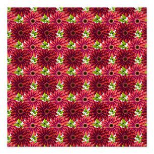 Póster Padrão Floral Ousado com Borboletas Vermelho Vib