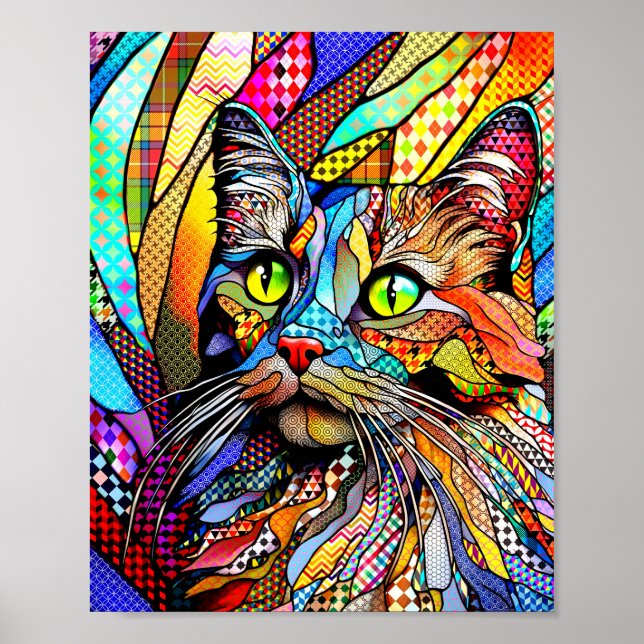 Poster Padrões Cat 711 de multicores (Frente)
