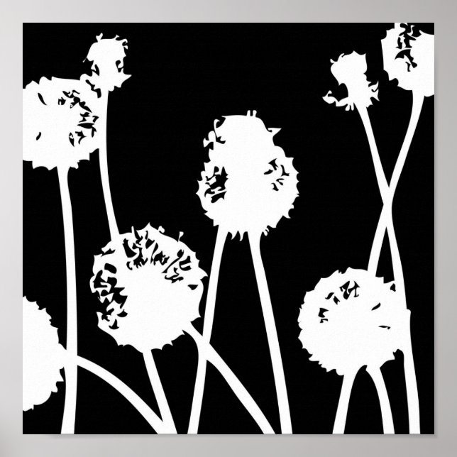 Poster Padrões da natureza 26 (Frente)