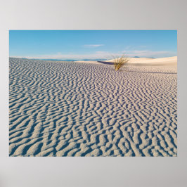 Poster Padrões de Areia Branca