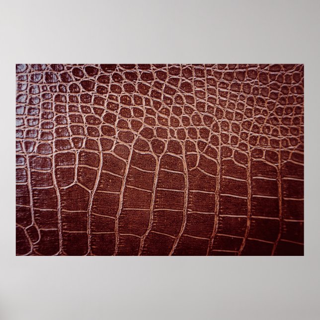Poster Padrões de couro crocodilo abstrato,jacaré,animal (Frente)