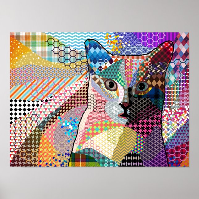 Poster Padrões de múltiplos cores Cat 676 (Frente)