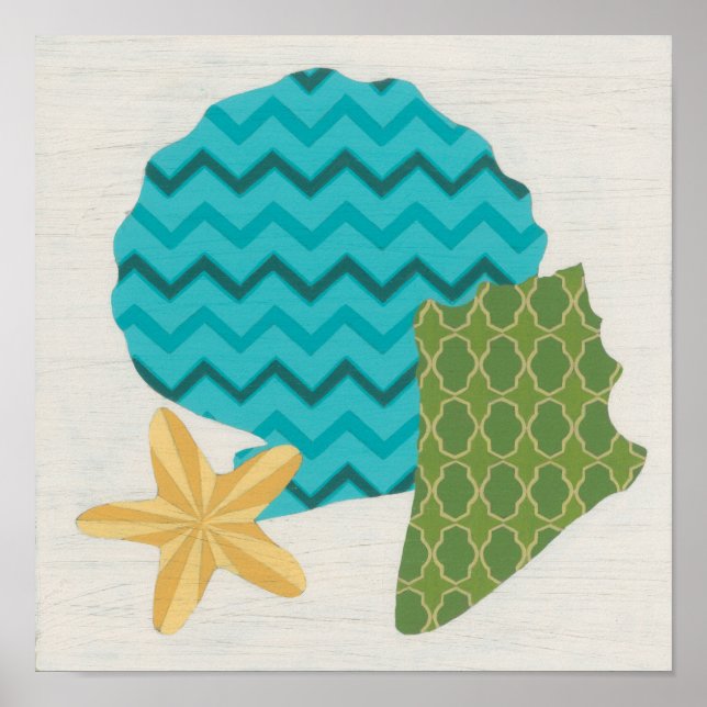 Póster Padrões de Shell II (Frente)