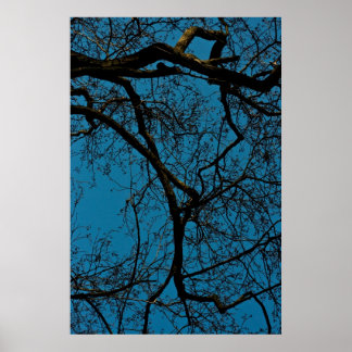 Poster Padrões no céu