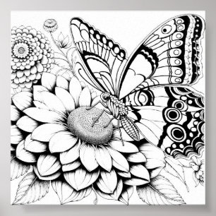 Poster Página Cores da Borboleta Criativa