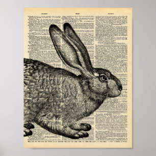 Poster Página Dicionário de Vintage com Coelho