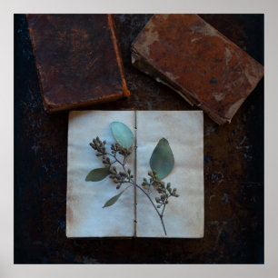 Poster Páginas antigas de livros com folhas de eucalipto