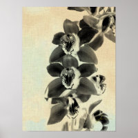 Painéis Blush Orquídeo IV