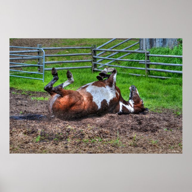 Poster Paint Horse Rolling in Mud Funny Equine Photo (Frente)